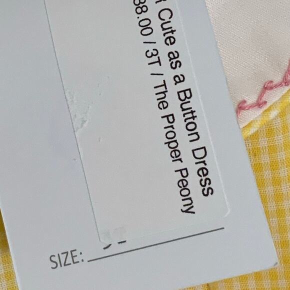 The Proper Peony Cute As A Button Dress NWT‎ size 3T - Picture 3 of 5